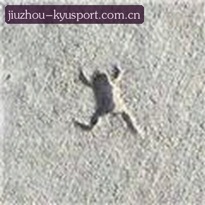 陈伟